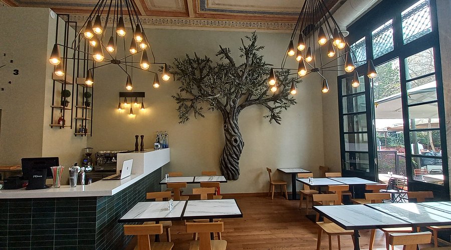 Olive Oil Tasting Venue